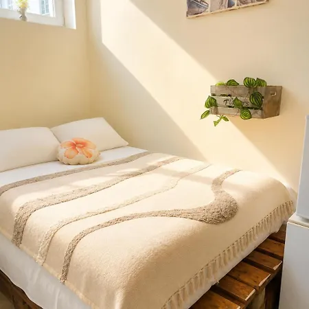 Appartement St Dominics Fair Sunflower Miniflat *